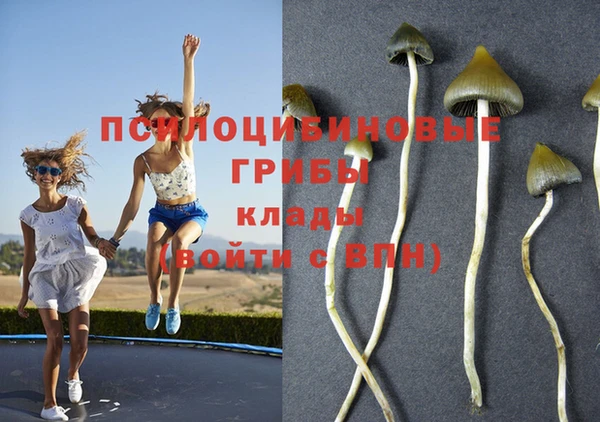метадон Балабаново