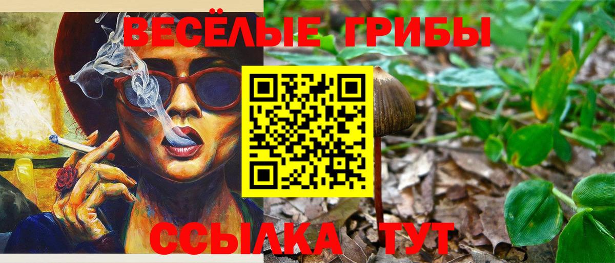 Кировск  Галлюциногенные грибы мицелий  Вход с VPN 