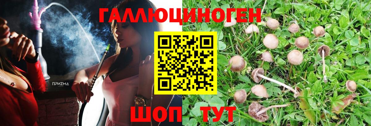 Галлюциногенные грибы GOLDEN TEACHER Кировск